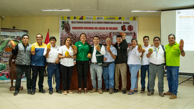 Ucayali: Productores de la región participan en el Concurso de Cacao de Calidad 2024