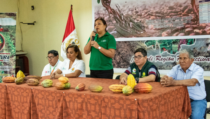Ucayali: Productores de la región participan en el Concurso de Cacao de Calidad 2024