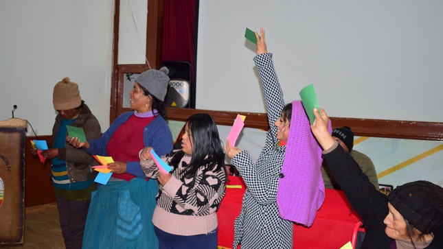 Actividad lúdica