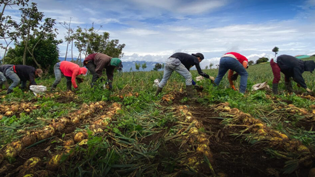 agricultura