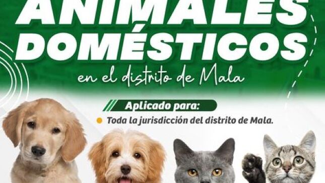 Ordenanza Municipal que Regula la Protección y Tenencia Responsable de Animales Domésticos en el Distrito de Mala