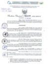 Vista preliminar de documento Resolución Directoral. N° 1419 - 2024 