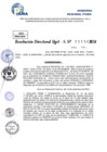 Vista preliminar de documento Resolucion Directoral N° 003250-2024