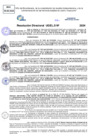Vista preliminar de documento Resolucion Directoral N° 003261-2024