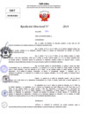Vista preliminar de documento Resolucion Directoral N° 003262-2024