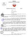 Vista preliminar de documento Resolucion Directoral N° 003273-2024
