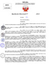 Vista preliminar de documento Resolucion Directoral N° 003304-2024