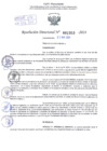 Vista preliminar de documento Resolución Directoral. N° 1353 - 2024 