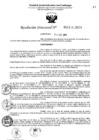 Vista preliminar de documento 4732