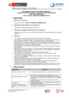 Vista preliminar de documento CONVOCATORIA N°019-2024