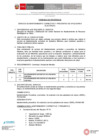 Vista preliminar de documento TDR