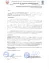 Vista preliminar de documento Resolucion