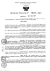 Vista preliminar de documento 4799