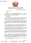 Vista preliminar de documento RD 100-2024