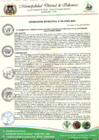 Vista preliminar de documento ORDENANZA 04