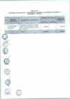Vista preliminar de documento Anexo N° 077-2017-DV-PE