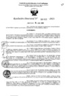 Vista preliminar de documento 4810