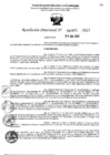 Vista preliminar de documento 4811