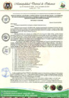 Vista preliminar de documento ORDENANZA 05