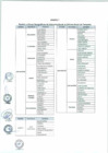 Vista preliminar de documento Anexo N° 078-2017-DV-PE