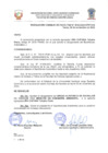 Vista preliminar de documento Resolucion