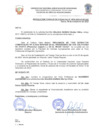Vista preliminar de documento Resolucion