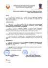 Vista preliminar de documento Resolucion