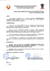 Vista preliminar de documento Resolucion
