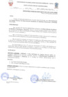 Vista preliminar de documento Resolucion
