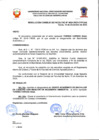 Vista preliminar de documento Resolucion
