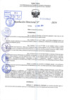 Vista preliminar de documento R.D 0910-2024