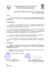 Vista preliminar de documento Resolucion