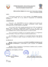 Vista preliminar de documento Resolucion