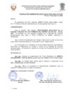 Vista preliminar de documento Resolucion