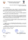 Vista preliminar de documento Resolucion