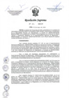 Vista preliminar de documento 087-2024-IN
