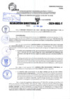 Vista preliminar de documento R.D 0992-2024