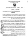 Vista preliminar de documento 4825