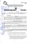 Vista preliminar de documento R.D 1029-2024
