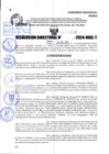 Vista preliminar de documento R.D 1032-2024