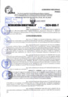 Vista preliminar de documento R.D 1033-2024