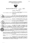 Vista preliminar de documento 4875