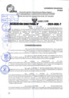 Vista preliminar de documento R.D 1036-2024