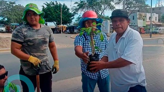 Comuna paiteña recupera áreas verdes de los AA.HH Juan Valer y Nueva Esperanza