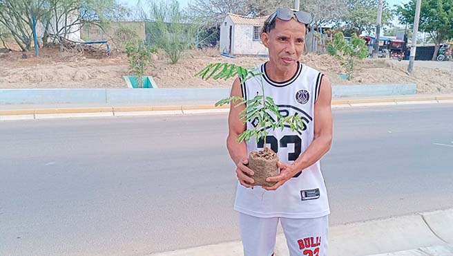 Comuna paiteña recupera áreas verdes de los AA.HH Juan Valer y Nueva Esperanza