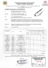 Vista preliminar de documento INFORME N° 002-2024-COPROSEC-MP-TAH