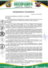 Vista preliminar de documento Ordenanza Municipal