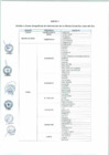 Vista preliminar de documento Anexo N° 089-2017-DV-PE