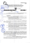 Vista preliminar de documento R.D 1043-2024