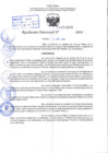 Vista preliminar de documento R.D 1045-2024
